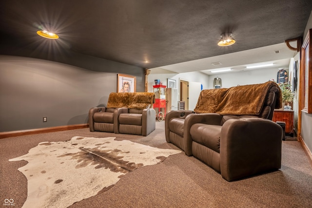 3075 Hurricane Rd, Franklin, IN 46131 - cinema with carpet floors