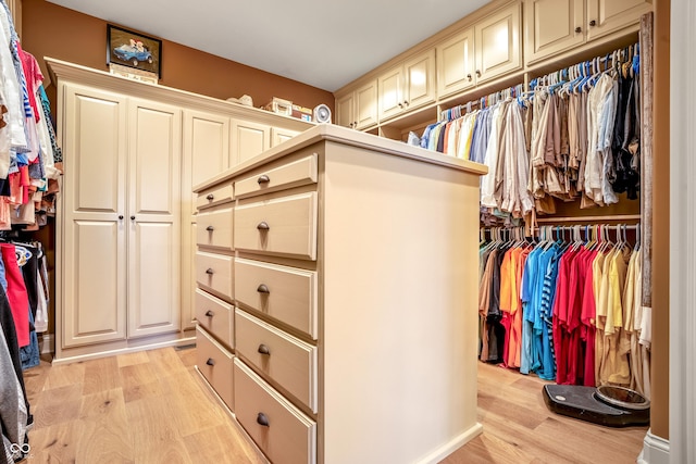 3075 Hurricane Rd, Franklin, IN 46131 - spacious closet with light wood finished floors