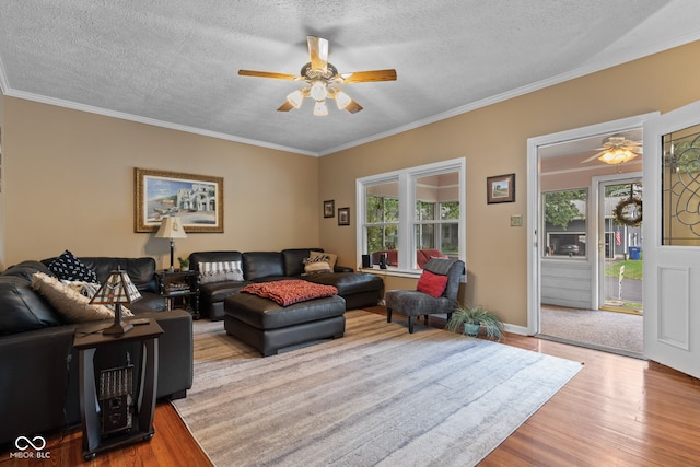 555 W Hawthorne St, Zionsville, IN 46077 - photo 10