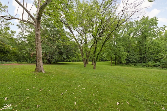 5519 N County Rd 550 E, Pittsboro, IN 46167 - view of grassy yard
