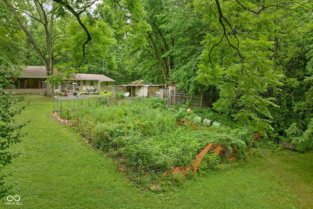 5519 N County Rd 550 E, Pittsboro, IN 46167 - view of yard with a garden, an outdoor structure, and a view of trees