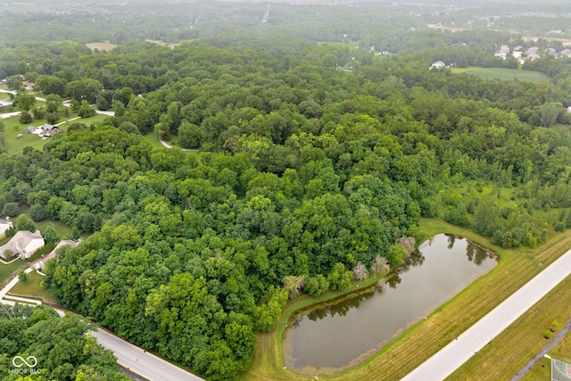 5519 N County Rd 550 E, Pittsboro, IN 46167 - bird's eye view of a large body of water and a heavily wooded area
