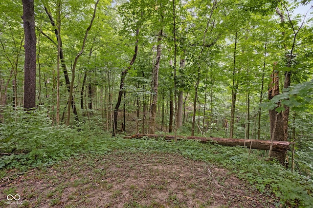5519 N County Rd 550 E, Pittsboro, IN 46167 - view of woods
