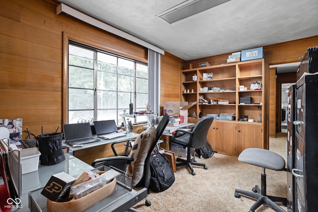 5519 N County Rd 550 E, Pittsboro, IN 46167 - carpeted office with wooden walls