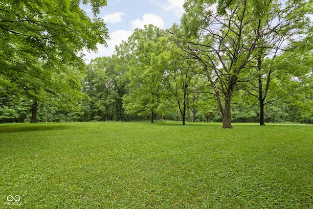 5519 N County Rd 550 E, Pittsboro, IN 46167 - view of green lawn