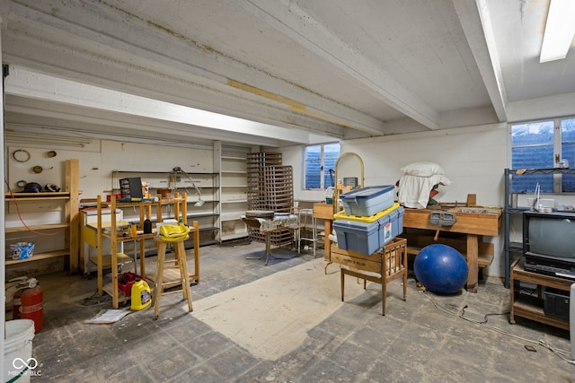 5519 N County Rd 550 E, Pittsboro, IN 46167 - basement with a workshop area