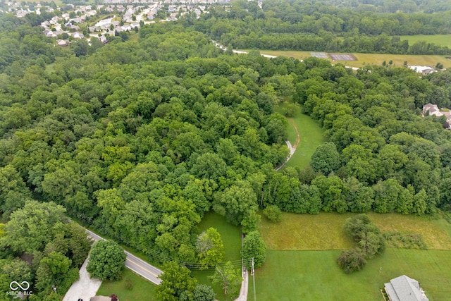5519 N County Rd 550 E, Pittsboro, IN 46167 - aerial view of a forest