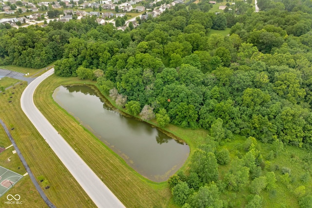 5519 N County Rd 550 E, Pittsboro, IN 46167 - bird's eye view of a large body of water