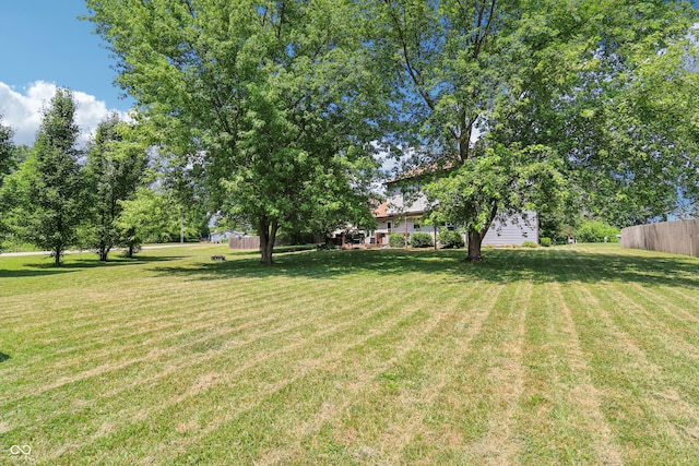2426 Borgman Ct, Indianapolis, IN 46229 - view of yard