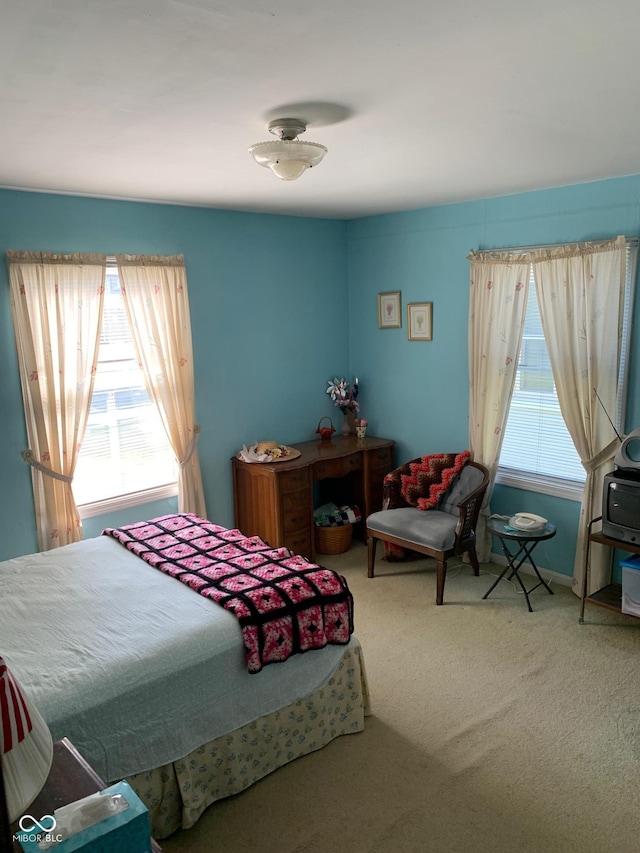 2010 N Winton Ave, Speedway, IN 46224 - view of carpeted bedroom