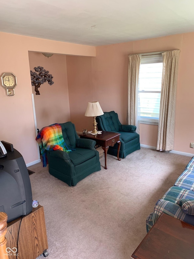 2010 N Winton Ave, Speedway, IN 46224 - carpeted living area featuring baseboards