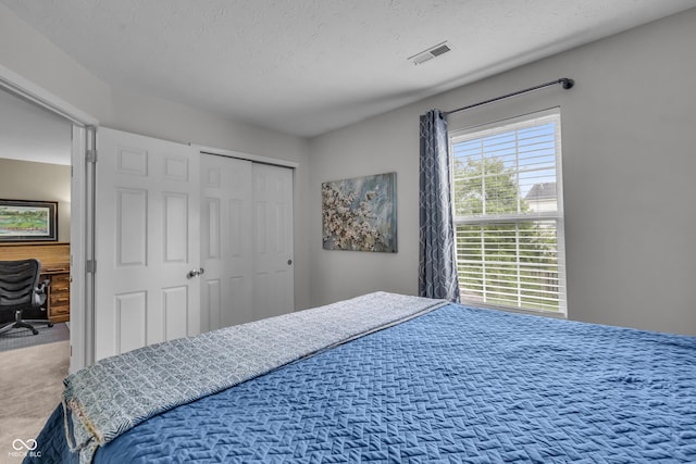 10832 Washington Bay Dr, Fishers, IN 46037 - bedroom featuring carpet floors, a textured ceiling, and a closet
