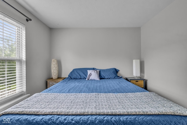 10832 Washington Bay Dr, Fishers, IN 46037 - bedroom with multiple windows