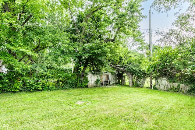 3613 Moller Rd, Indianapolis, IN 46224 - view of yard