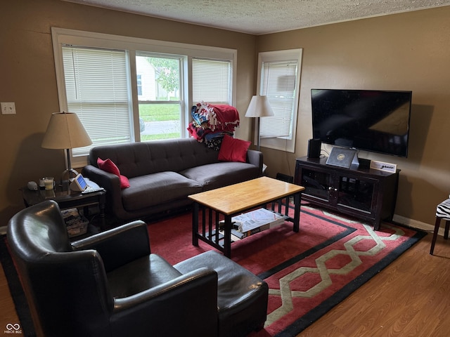 314 E Mill St, Fortville, IN 46040 - living area with a textured ceiling and wood finished floors