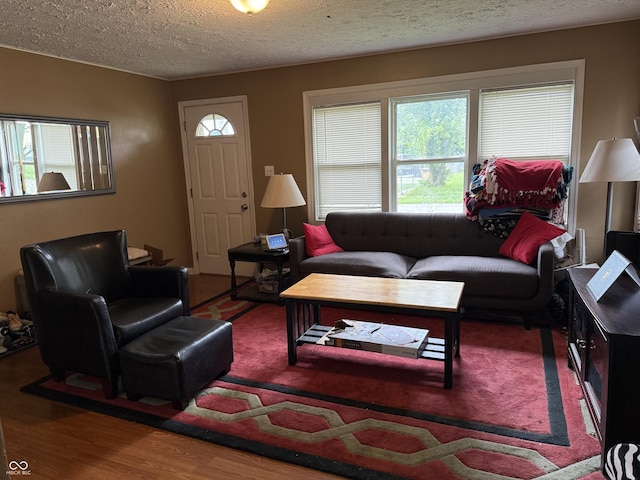 314 E Mill St, Fortville, IN 46040 - living room with a textured ceiling and wood finished floors