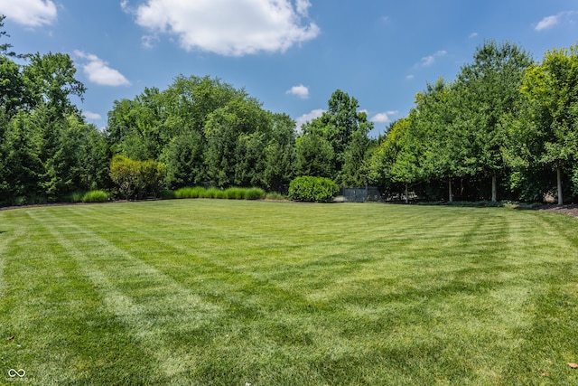 520 Willow Spring Rd, Indianapolis, IN 46240 - view of green lawn