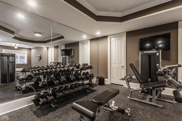 520 Willow Spring Rd, Indianapolis, IN 46240 - gym with ornamental molding and a tray ceiling