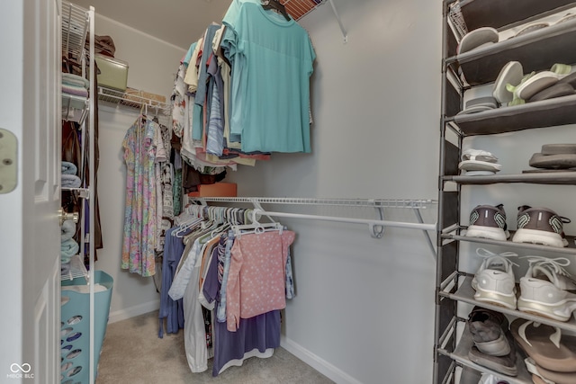860 Old Eagle Way, Greenwood, IN 46143 - walk in closet with carpet flooring