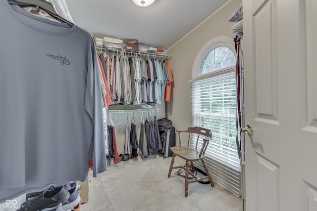 860 Old Eagle Way, Greenwood, IN 46143 - walk in closet featuring carpet flooring