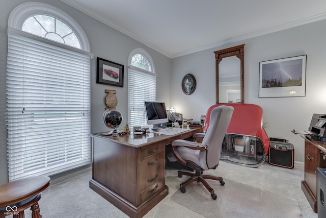 860 Old Eagle Way, Greenwood, IN 46143 - office space featuring crown molding and carpet floors