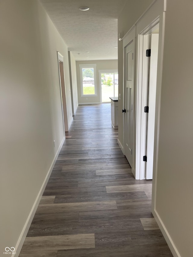 842 E Nutter St, Martinsville, IN 46151 - hall with baseboards and dark wood finished floors