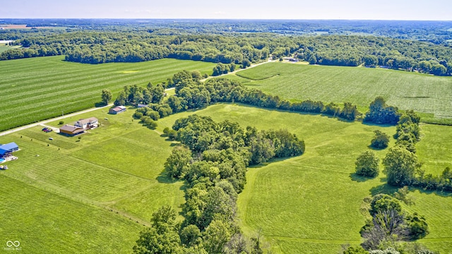 4297 W Division Rd, Crawfordsville, IN 47933 - view of rural area featuring farmland