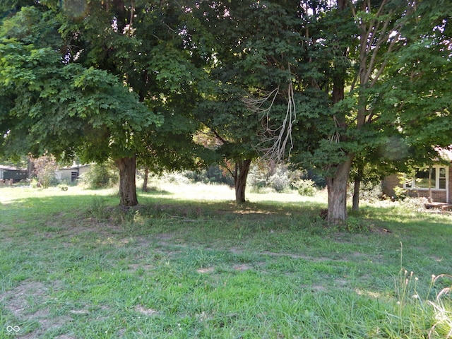 3926 S County Road 550 W, Coatesville, IN 46121 - view of yard