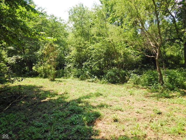 3926 S County Road 550 W, Coatesville, IN 46121 - view of wooded area