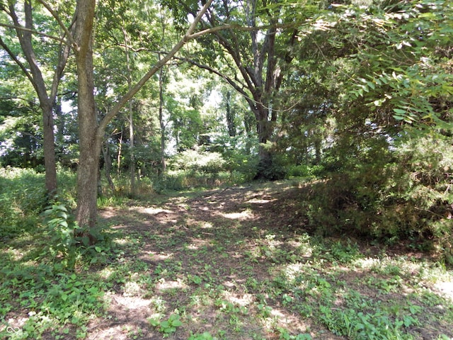 3926 S County Road 550 W, Coatesville, IN 46121 - view of tree filled area