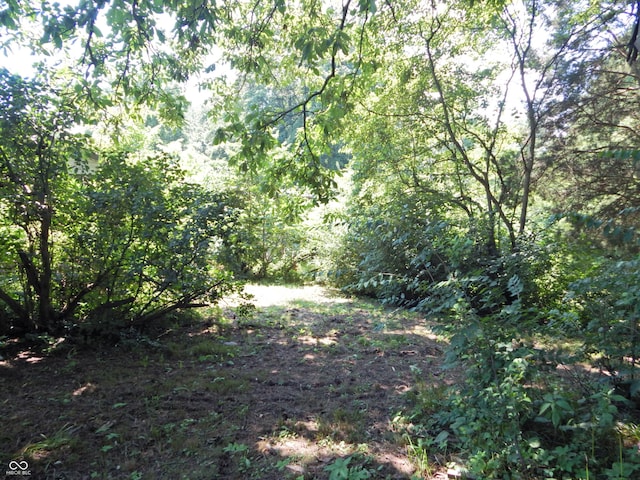 3926 S County Road 550 W, Coatesville, IN 46121 - view of woods