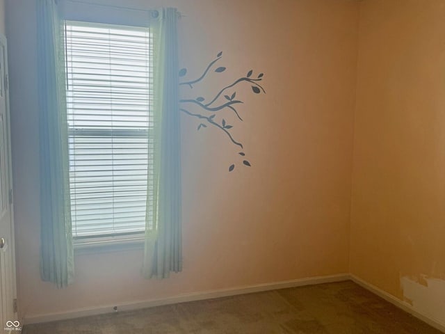 5411 Drum Rd, Indianapolis, IN 46216 - photo 19