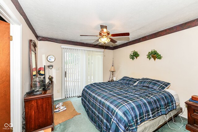 2474 S 125 E, Shelbyville, IN 46176 - photo 17