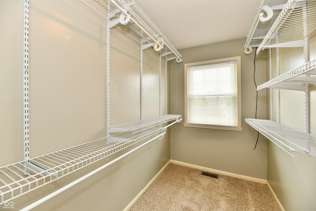 3675 Homestead Cir E, Plainfield, IN 46168 - spacious closet featuring carpet flooring