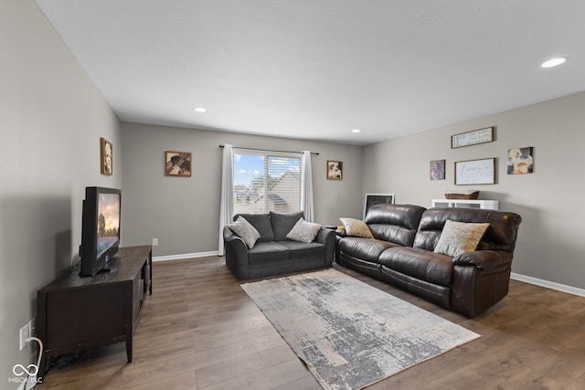 1425 Turkington Ct, Greenwood, IN 46143 - living room featuring wood finished floors and recessed lighting