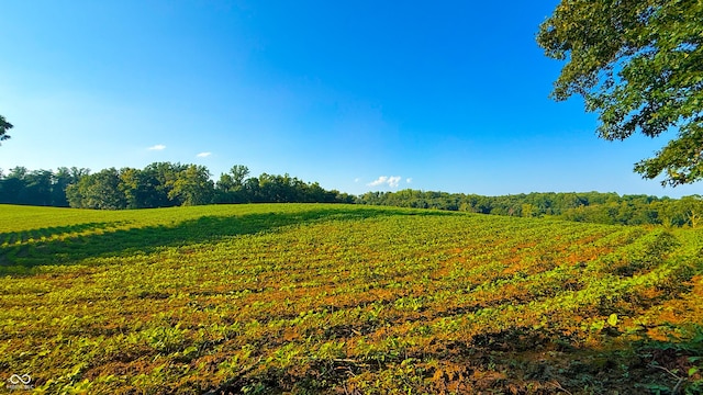2297 W Popcorn Rd, Springville, IN 47462