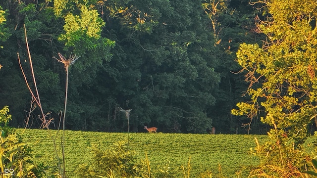 2297 W Popcorn Rd, Springville, IN 47462