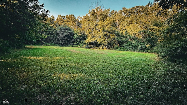2297 W Popcorn Rd, Springville, IN 47462