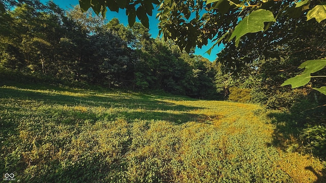 2297 W Popcorn Rd, Springville, IN 47462