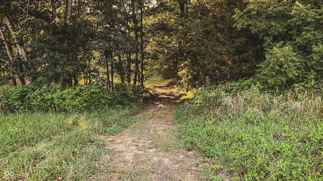 2297 W Popcorn Rd, Springville, IN 47462