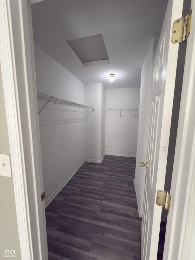 1881 Harvest Meadow Dr, Greenwood, IN 46143 - spacious closet featuring wood finished floors and attic access