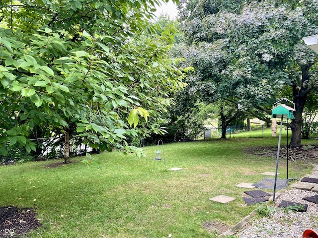 7410 Crickwood Pl, Indianapolis, IN 46268 - view of yard
