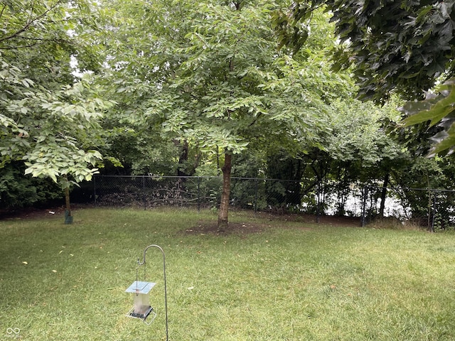 7410 Crickwood Pl, Indianapolis, IN 46268 - view of yard