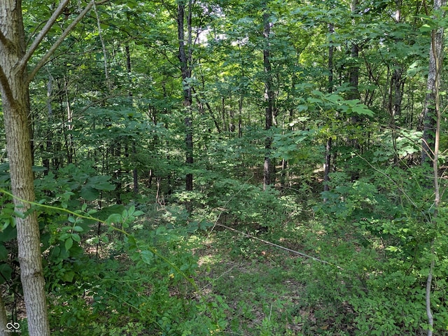 7594 W County Road 925 N, Freetown, IN 47235 - photo 10
