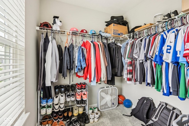 338 Limerick Ln, Pendleton, IN 46064 - walk in closet with carpet