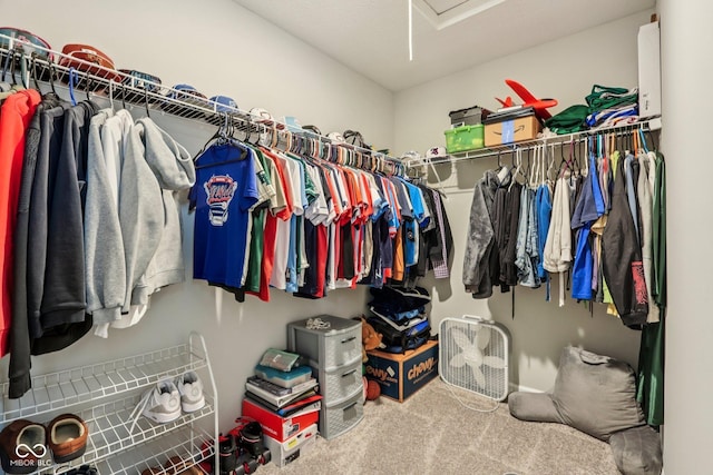 338 Limerick Ln, Pendleton, IN 46064 - walk in closet with carpet and attic access