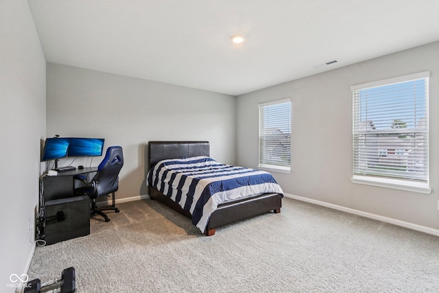338 Limerick Ln, Pendleton, IN 46064 - bedroom featuring baseboards and carpet floors
