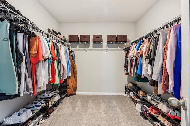 338 Limerick Ln, Pendleton, IN 46064 - spacious closet featuring carpet