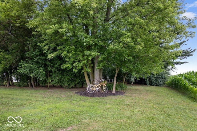 3160 S 50 E, Lebanon, IN 46052 - view of grassy yard