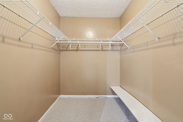 5981 Sycamore Forge Ln, Indianapolis, IN 46254 - photo 17